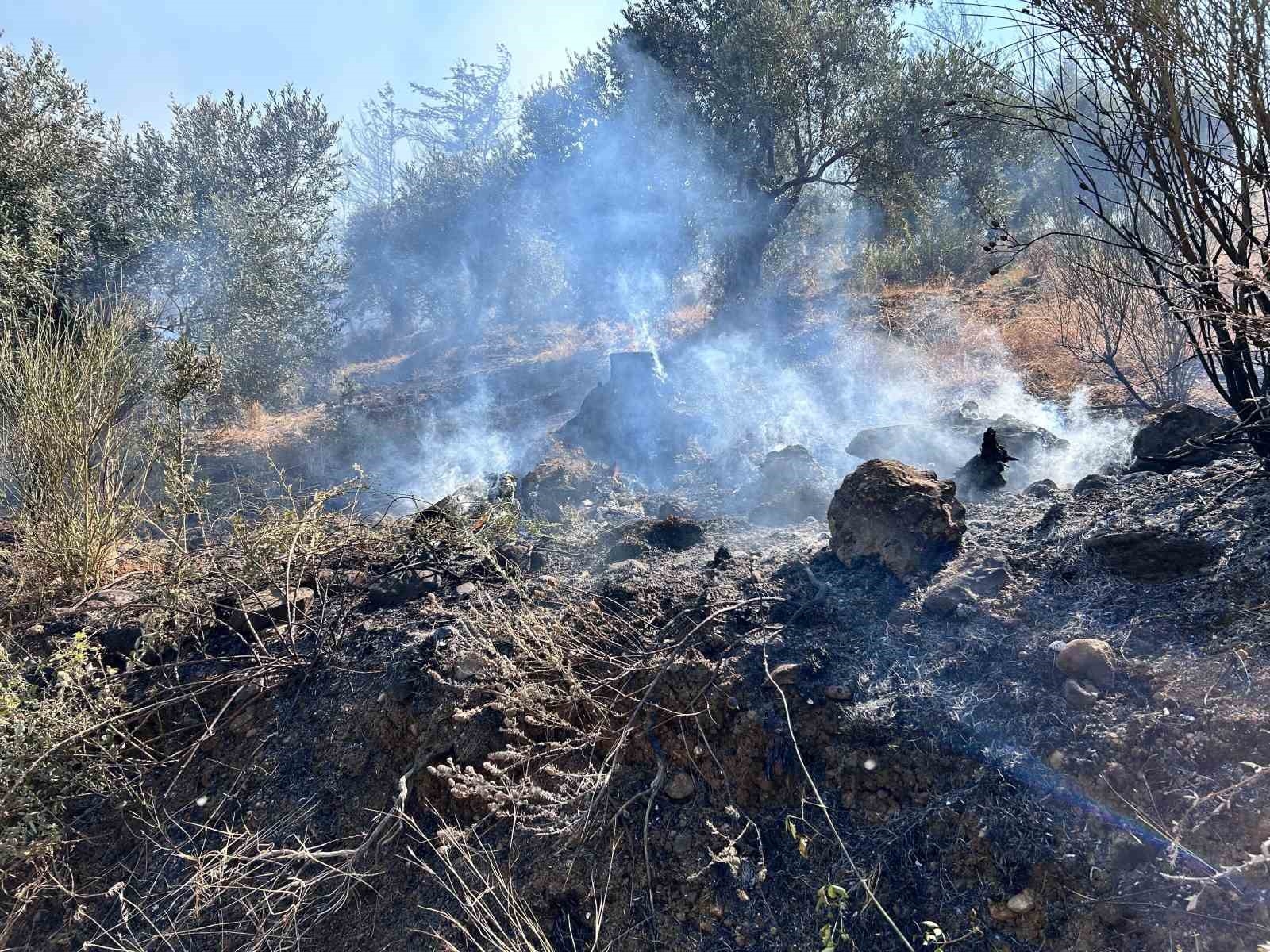 Orman yangınına havadan müdahale başladı