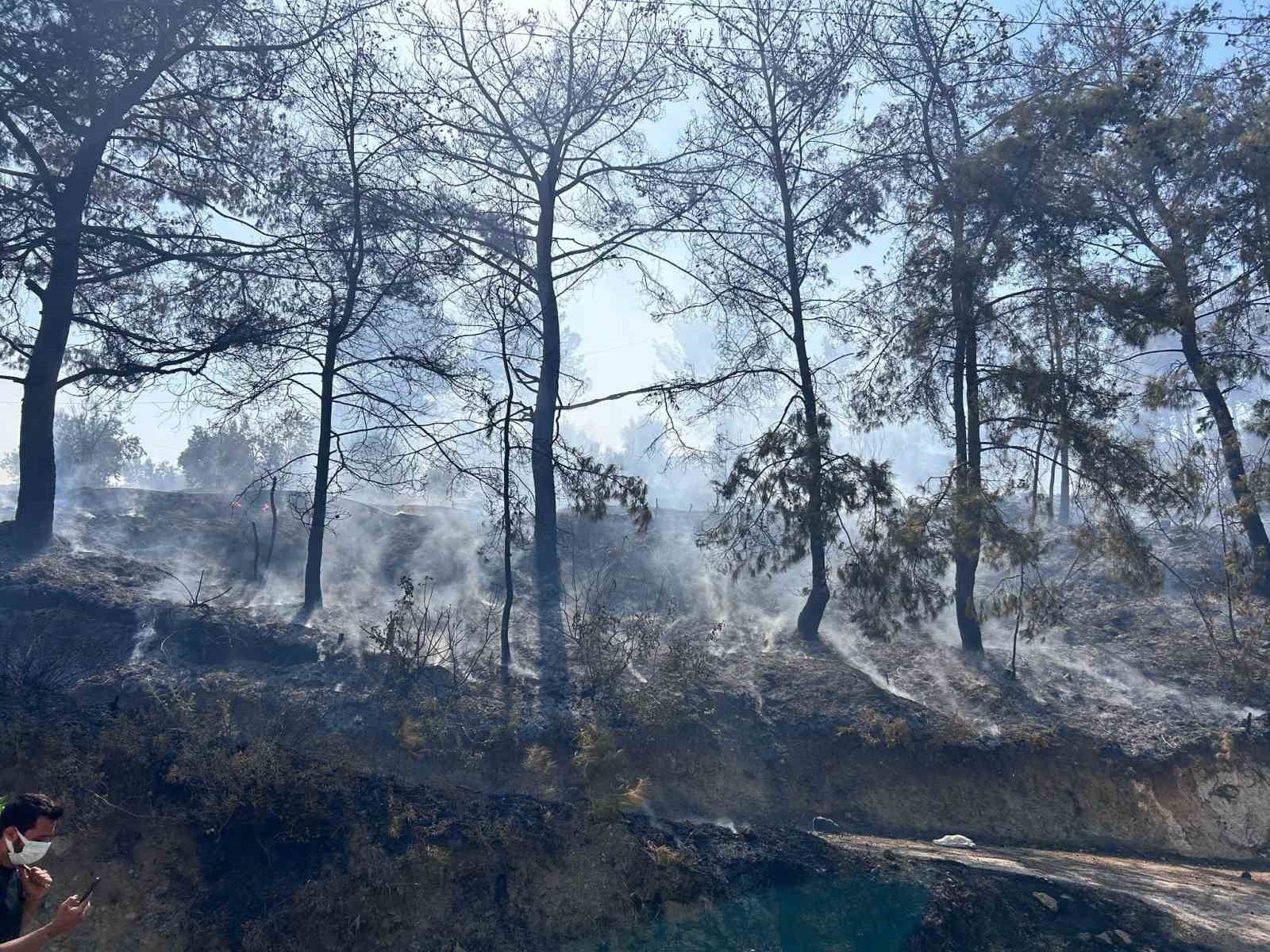 Orman yangınına havadan müdahale başladı