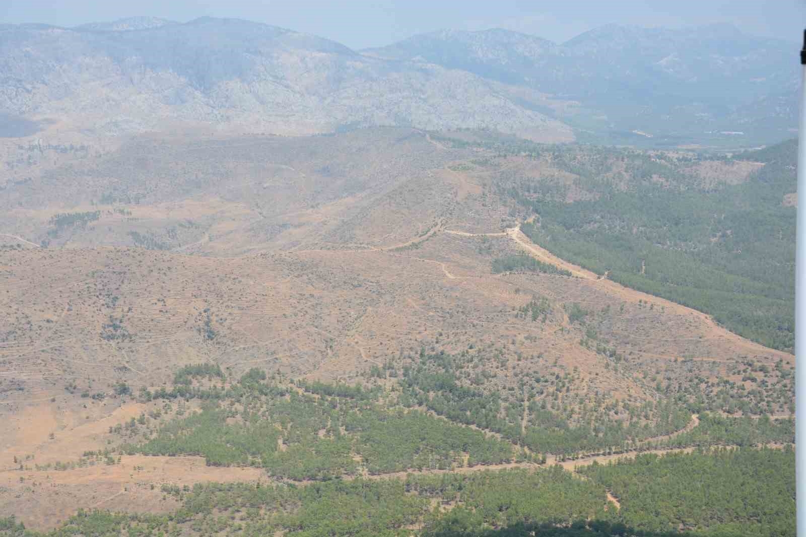 Orman yangınlarında yanan alanlara dikilen fidanlar büyüyor