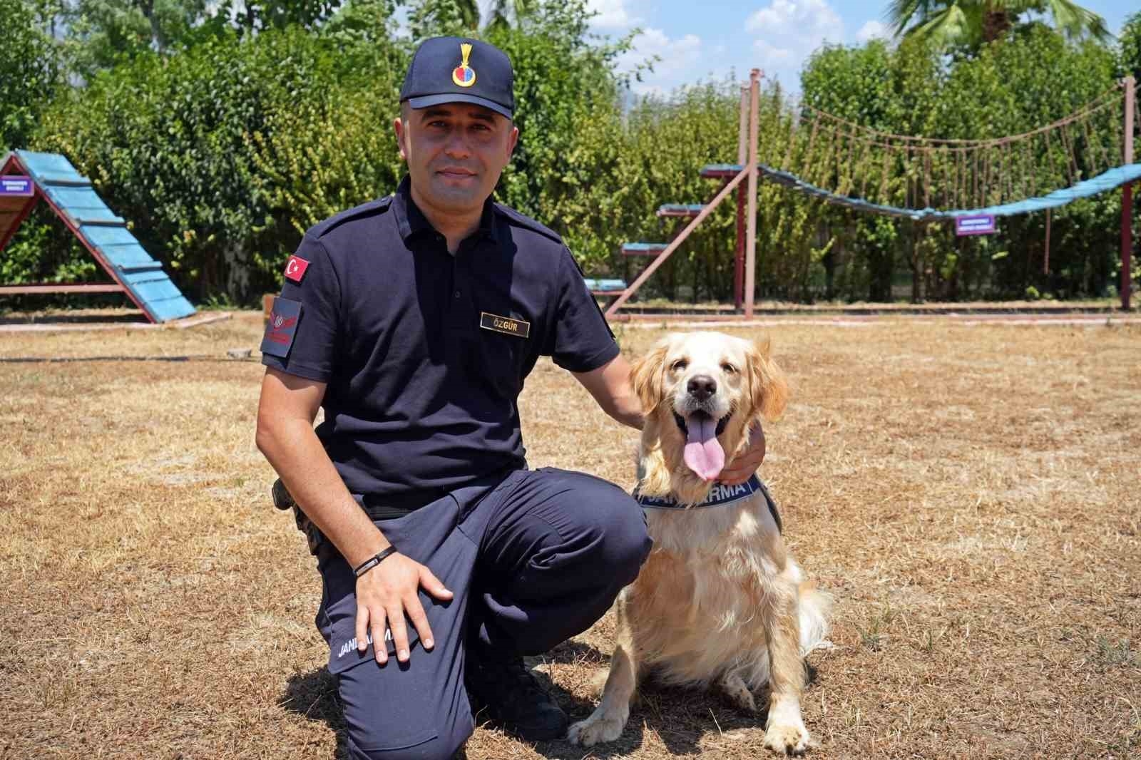 Orman yangınlarındaki kundaklama ve sabotaj, 'Zeytin'in burnundan geçiyor