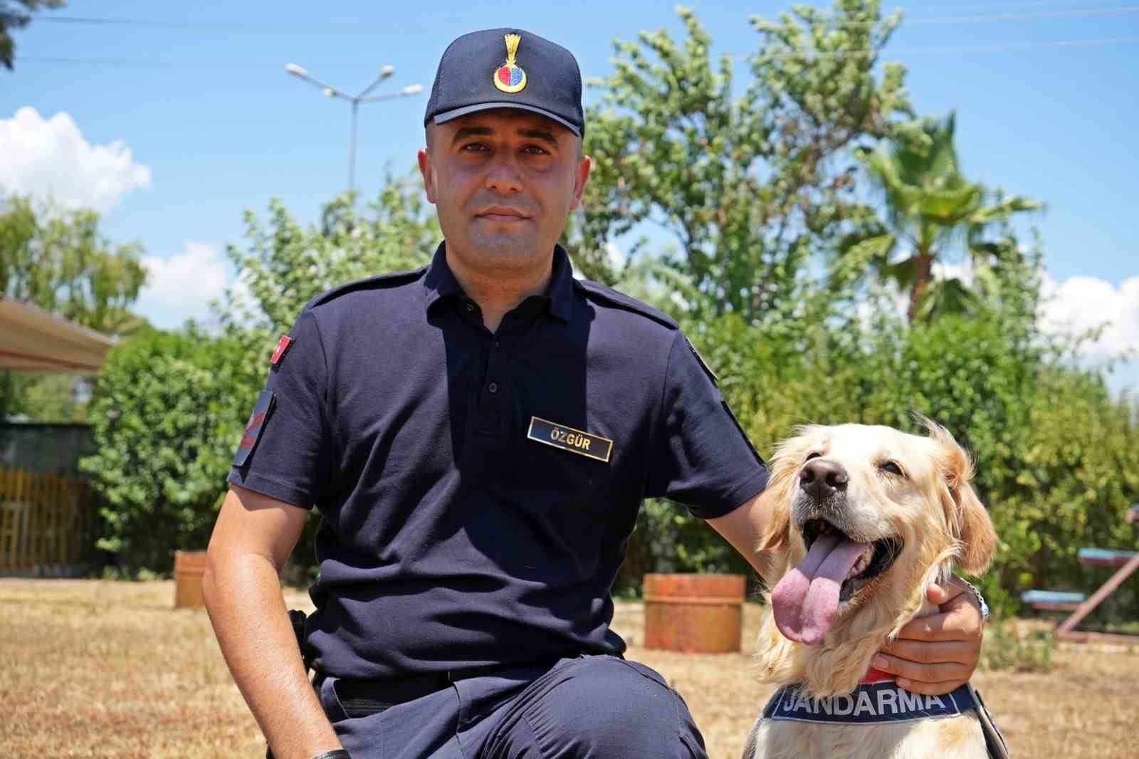 Orman yangınlarındaki kundaklama ve sabotaj, 'Zeytin'in burnundan geçiyor