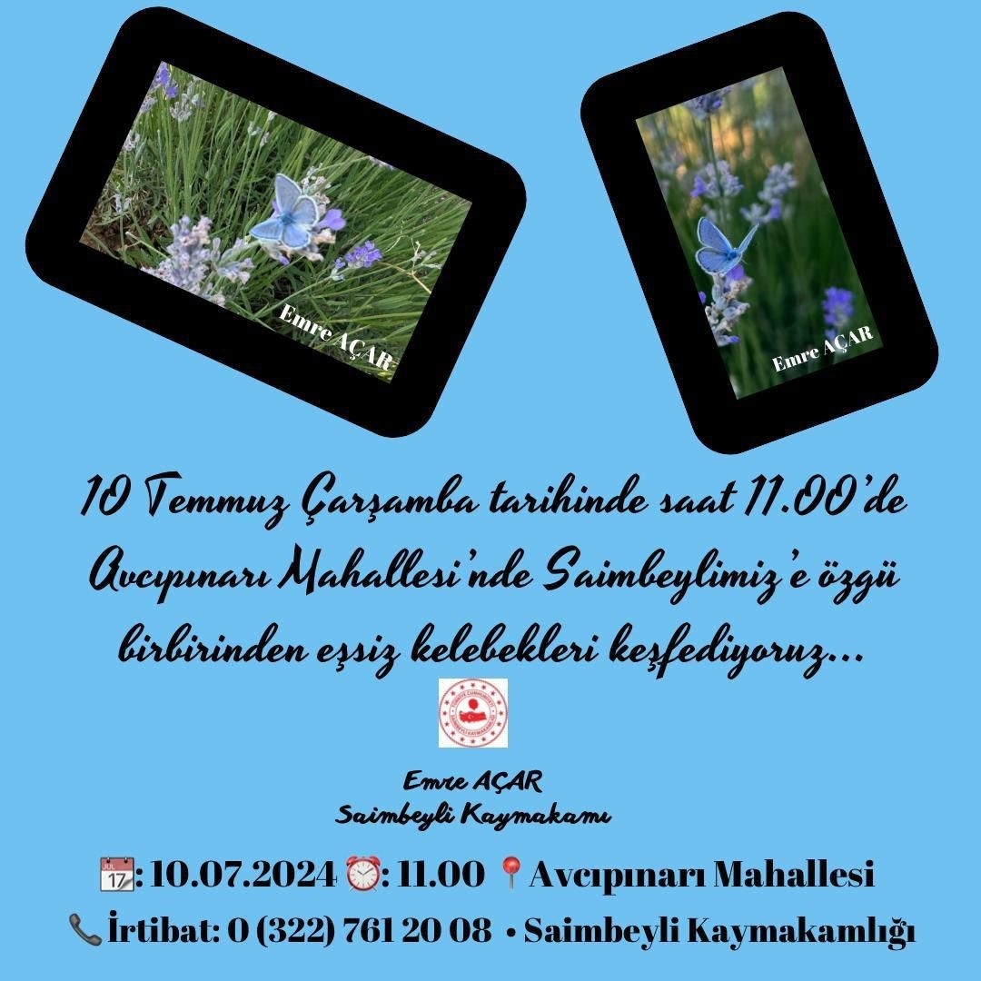 Saimbeyli'de "Geleneksel Saimbeyli Kelebeği Gözlem ve Fotoğrafçılık" etkinliği düzenlenecek