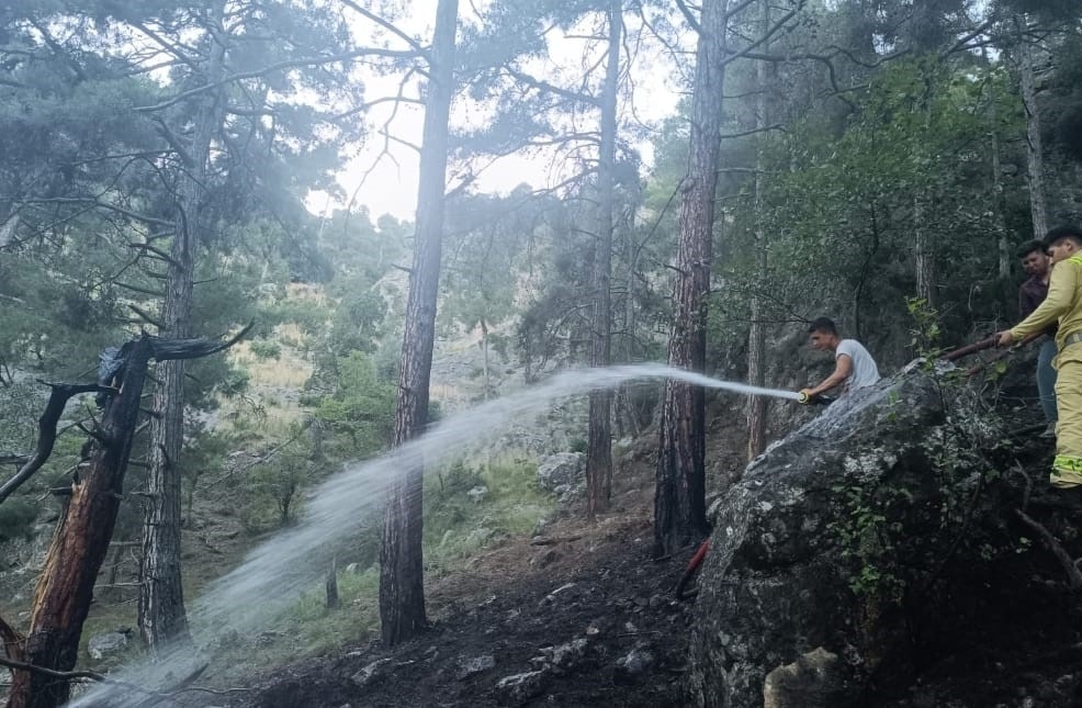 Tarsus'ta orman yangını kısa sürede söndürüldü