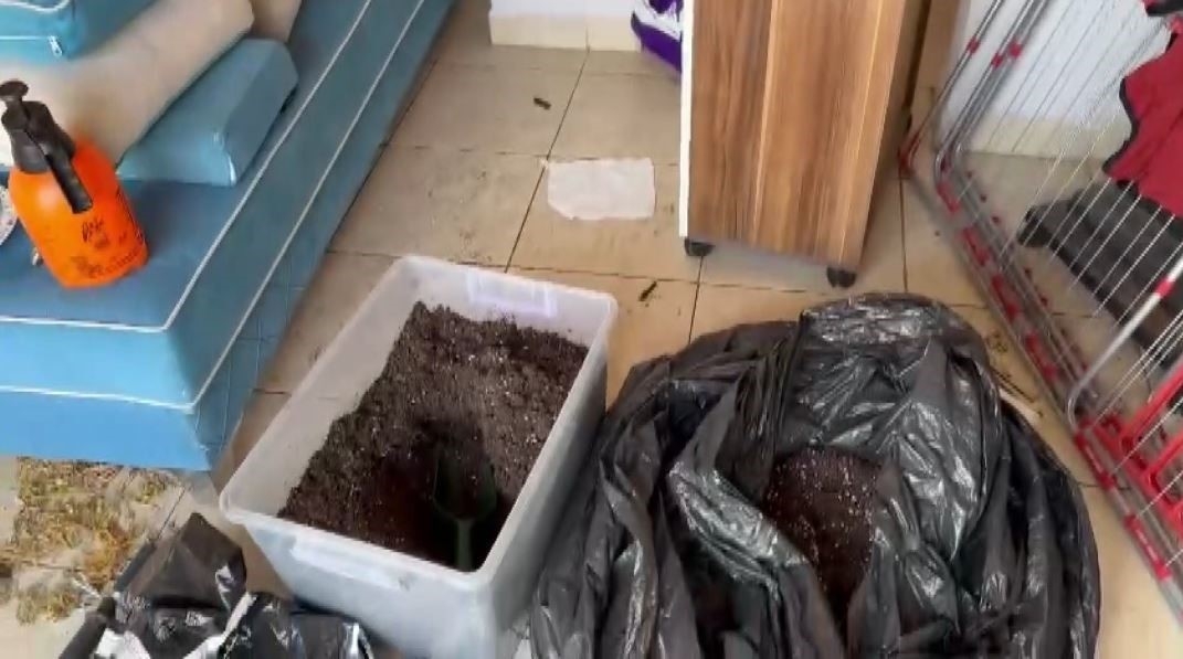 Turistlere esrar satarken yakalandı, şüphelinin evine giden jandarma gözlerine inanamadı