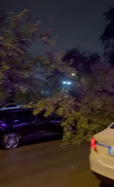 Yıldırımın düştüğü otel bahçesindeki ağaç alev alev yandı
