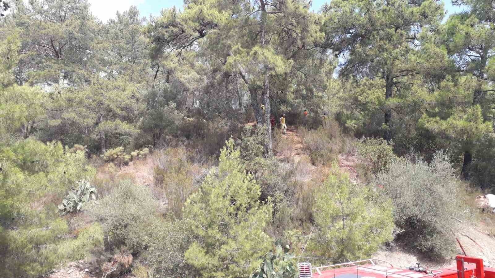 Antalya Kemer'de çıkan orman yangını kontrol altına alındı