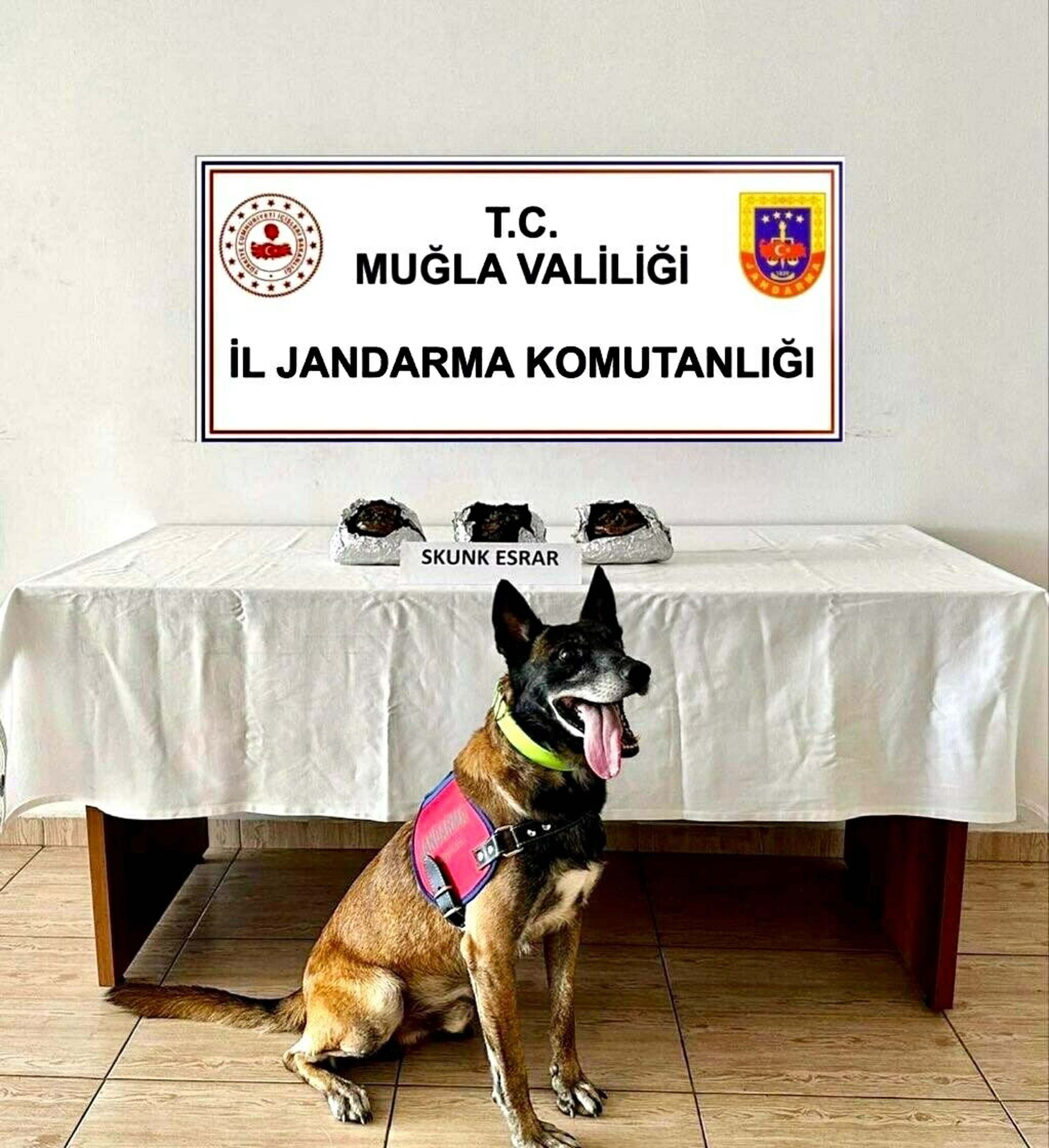 Bodrum'a yolcu otobüsüyle uyuşturucu sevkiyatına; 2 gözaltı