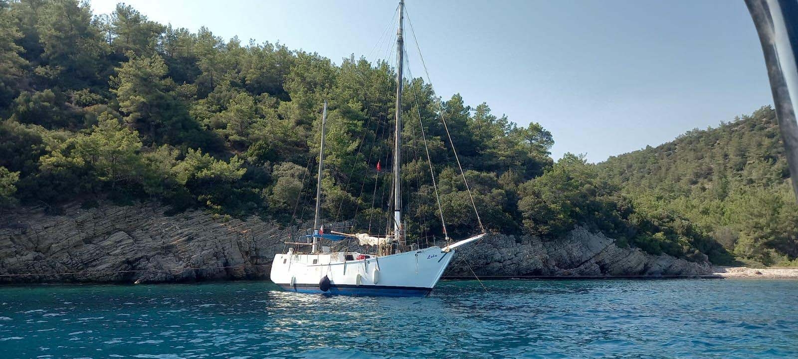 Bodrum'da 31 kaçak göçmen kurtarıldı, 98'i yakalandı