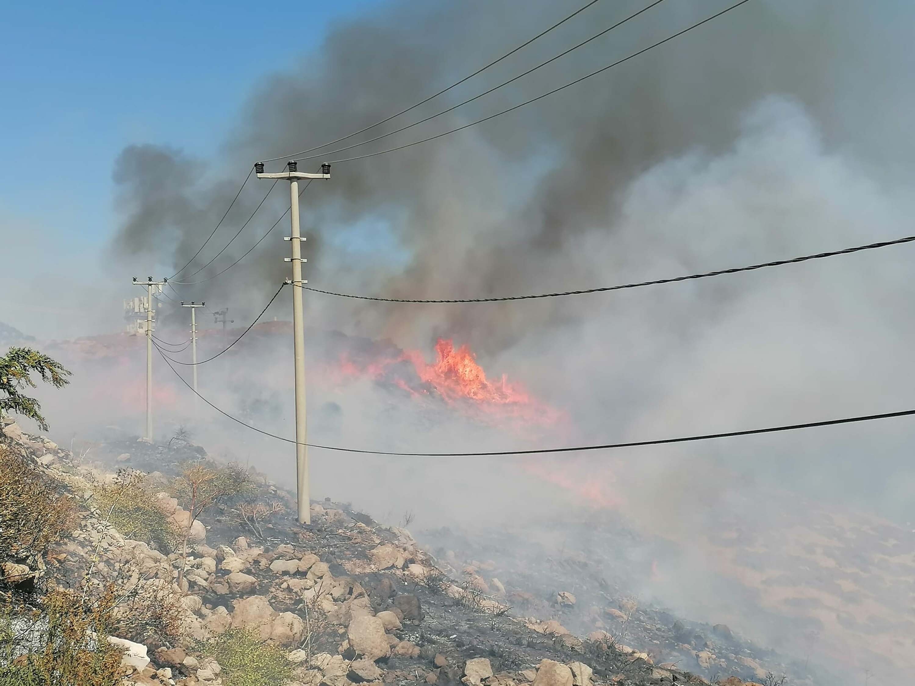 Bodrum'da otluk ve makilik yangını