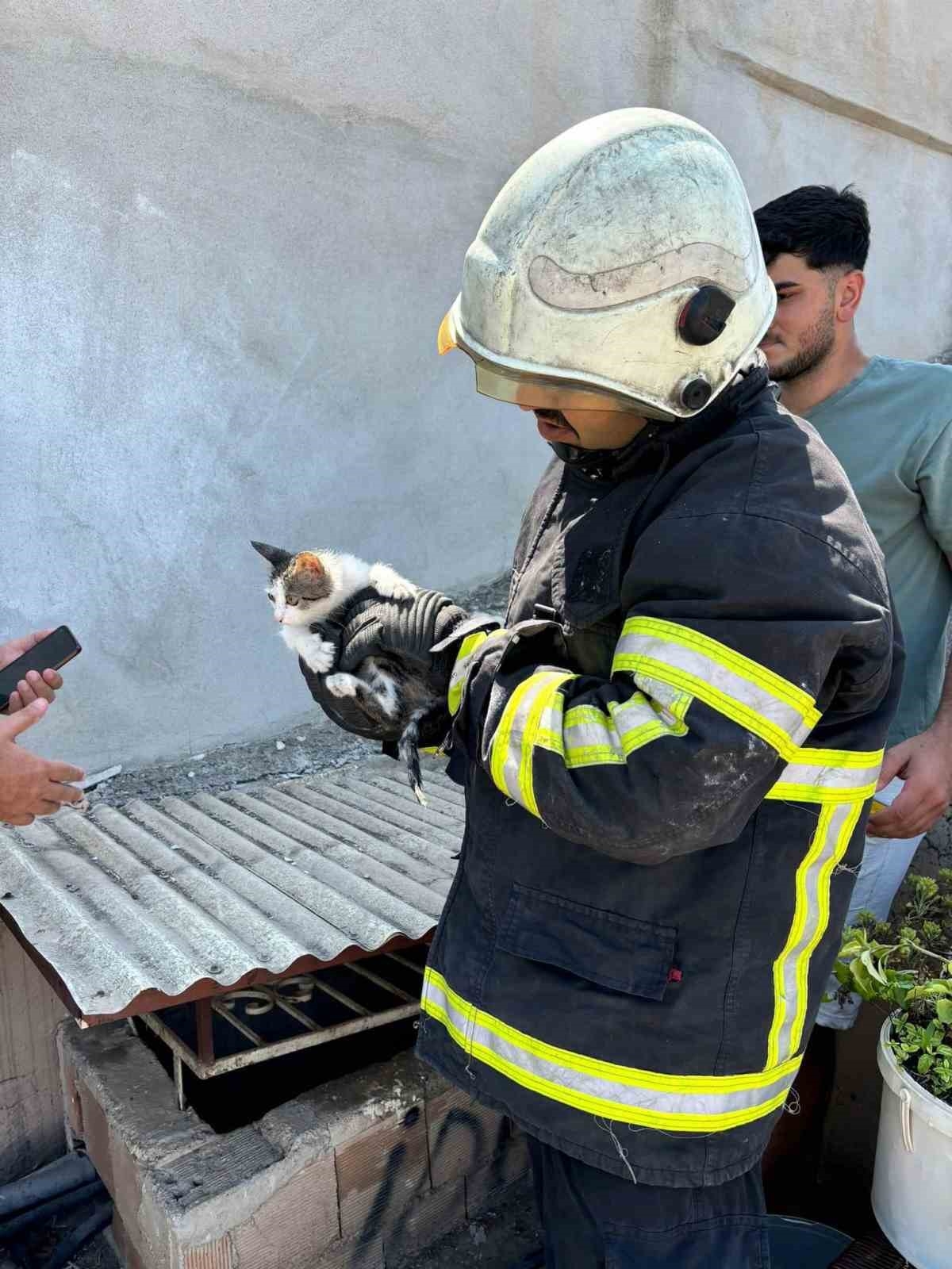 İskenderun'da binanın havalandırma boşluğuna düşen yavru kedi kurtarıldı