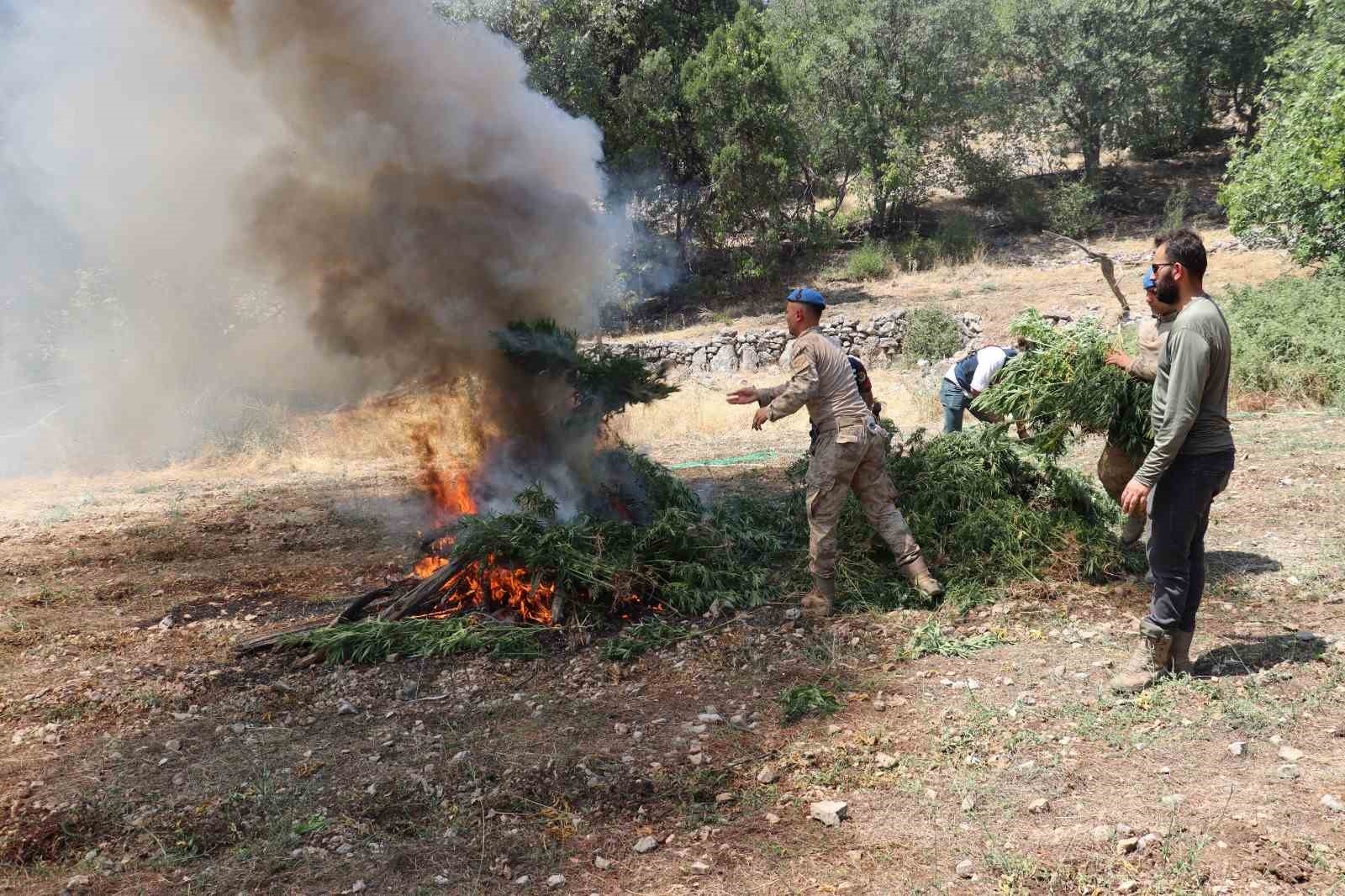 Isparta'da uyuşturucu operasyonu: Çok sayıda malzeme ele geçirildi