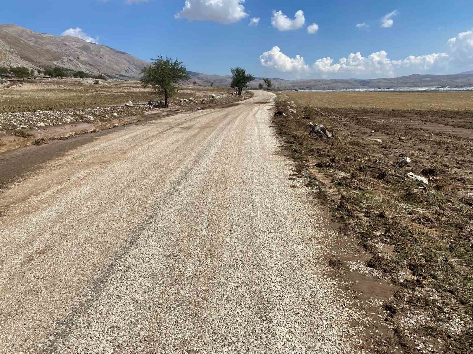 Korkuteli'nde su baskını sebebiyle onlarca hayvan telef oldu