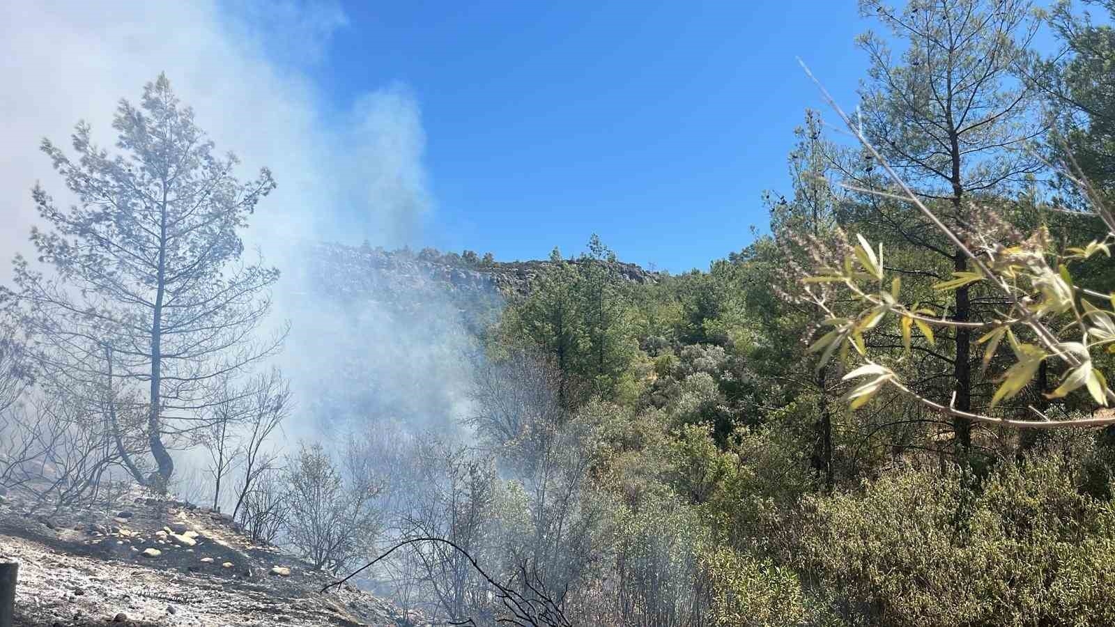 Mersin Silifke'de orman yangını