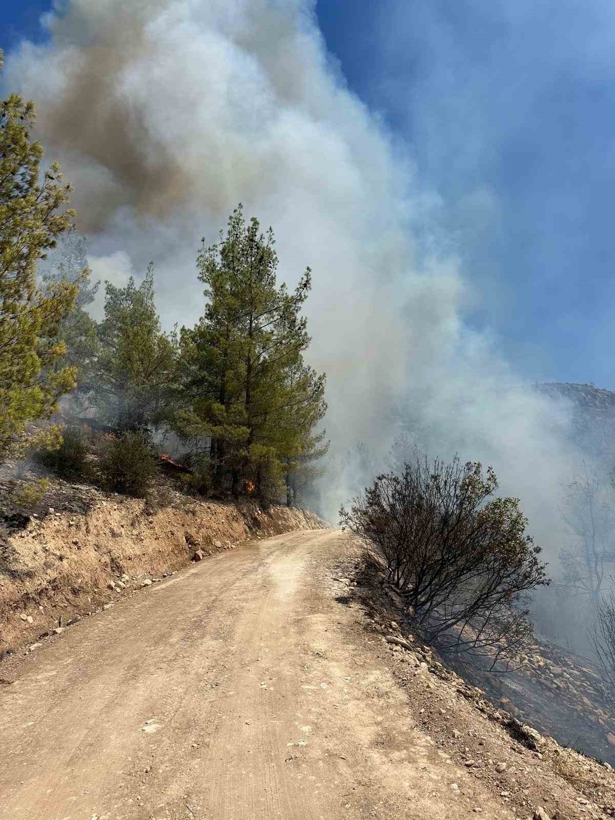Mersin Silifke'de orman yangını