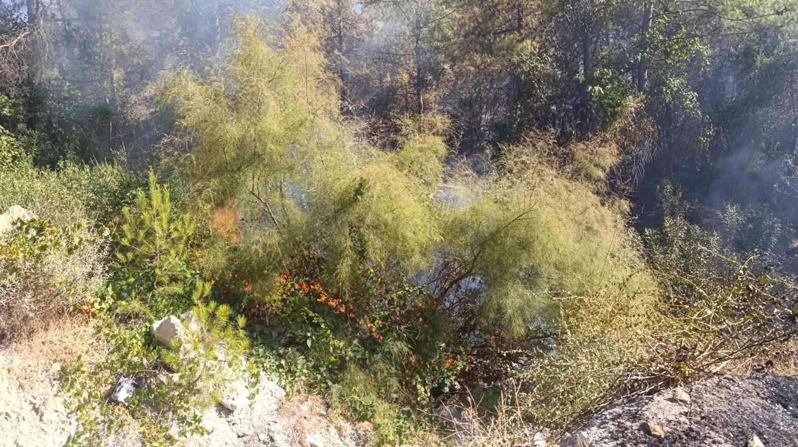 Mersin Silifke'deki orman yangını kısmen kontrol altına alındı