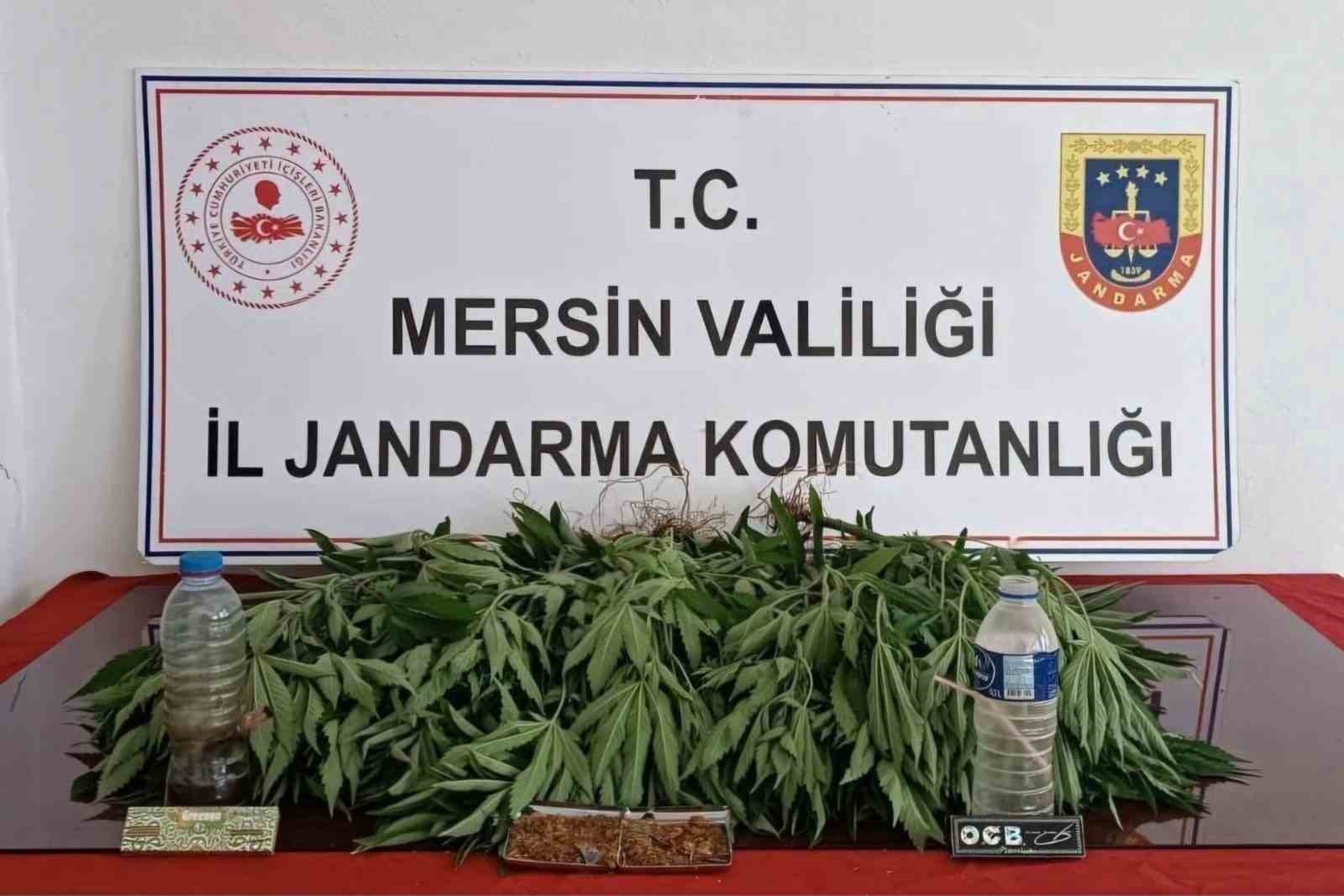 Mersin'de uyuşturucu operasyonu: 6 gözaltı