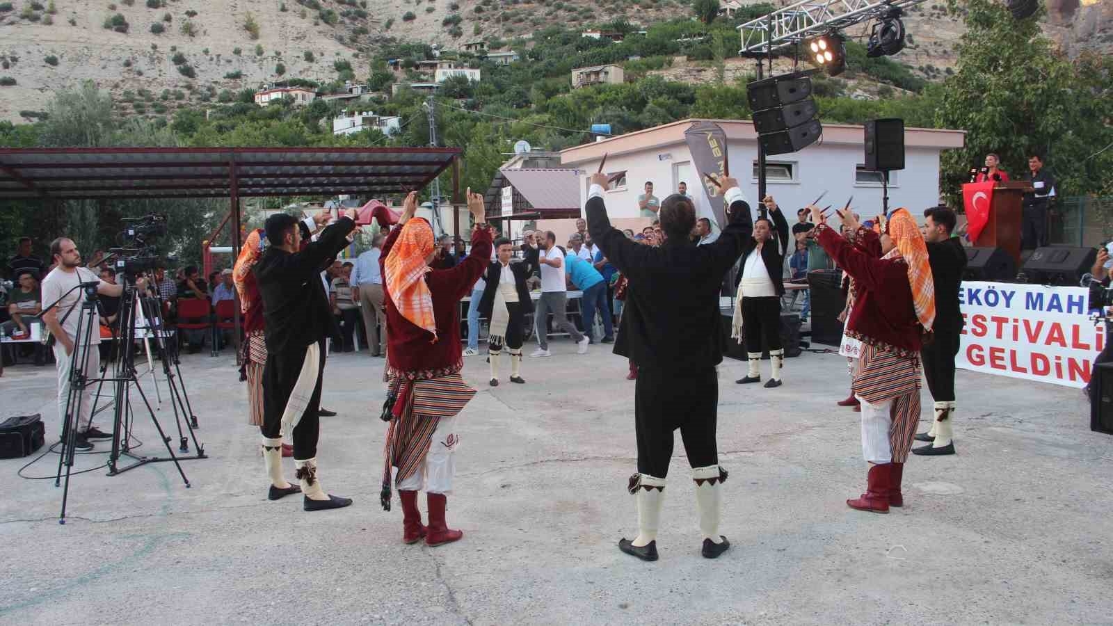 Mersin'in Mut ilçesinde 29'uncu İncir Festivali düzenlendi
