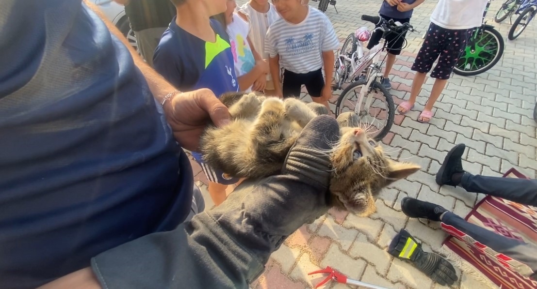 Otomobilin motoruna giren yavru kedi kurtarıldı
