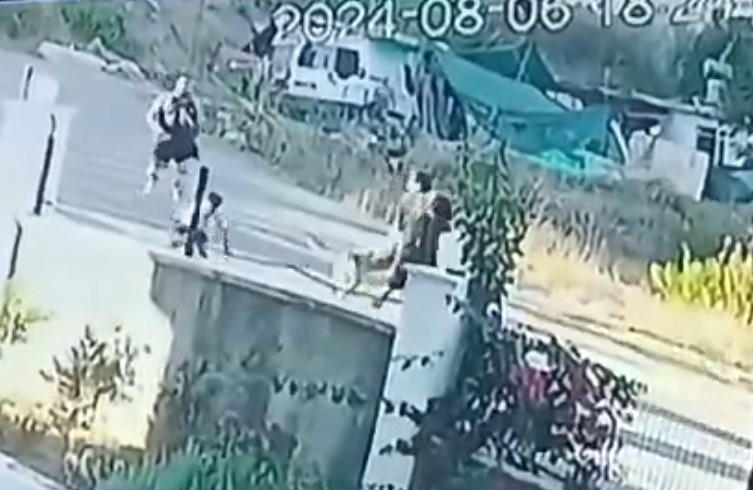 Taş attığı köpek zinciri kırarak dehşeti yaşattı