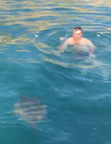 Alanya'da denizde şaşırtan karşılaşma: Dev carretta caretta ile 1,5 saat yüzdüler