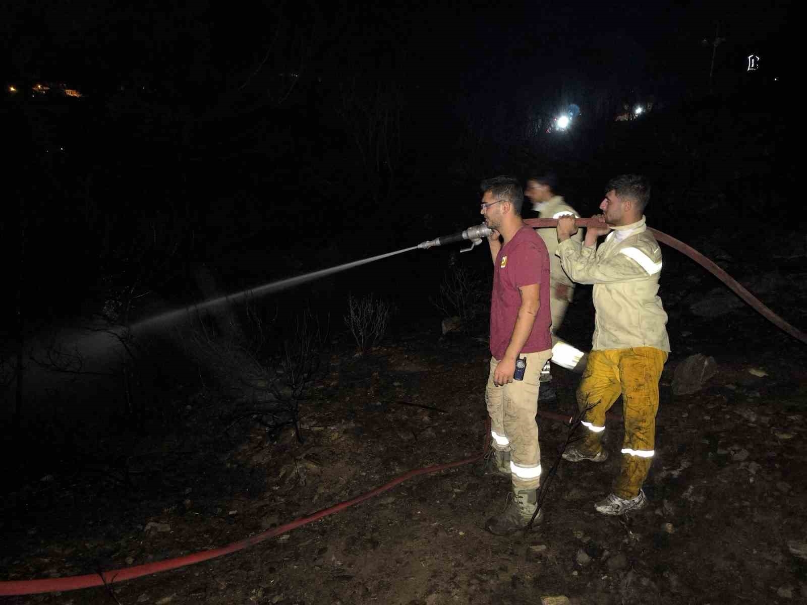 Alanya'da elektrik tellerinden çıkan makilik yangını söndürüldü