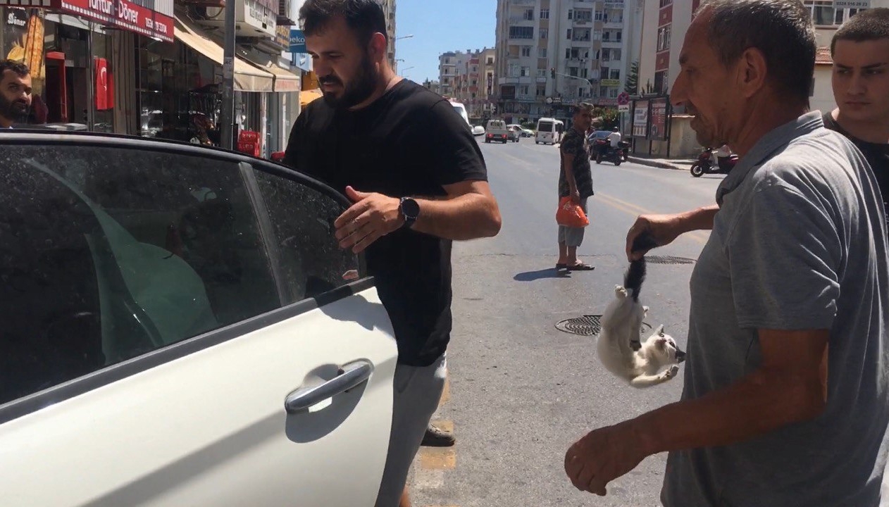 Duyarlı vatandaşlardan kedi operasyonu