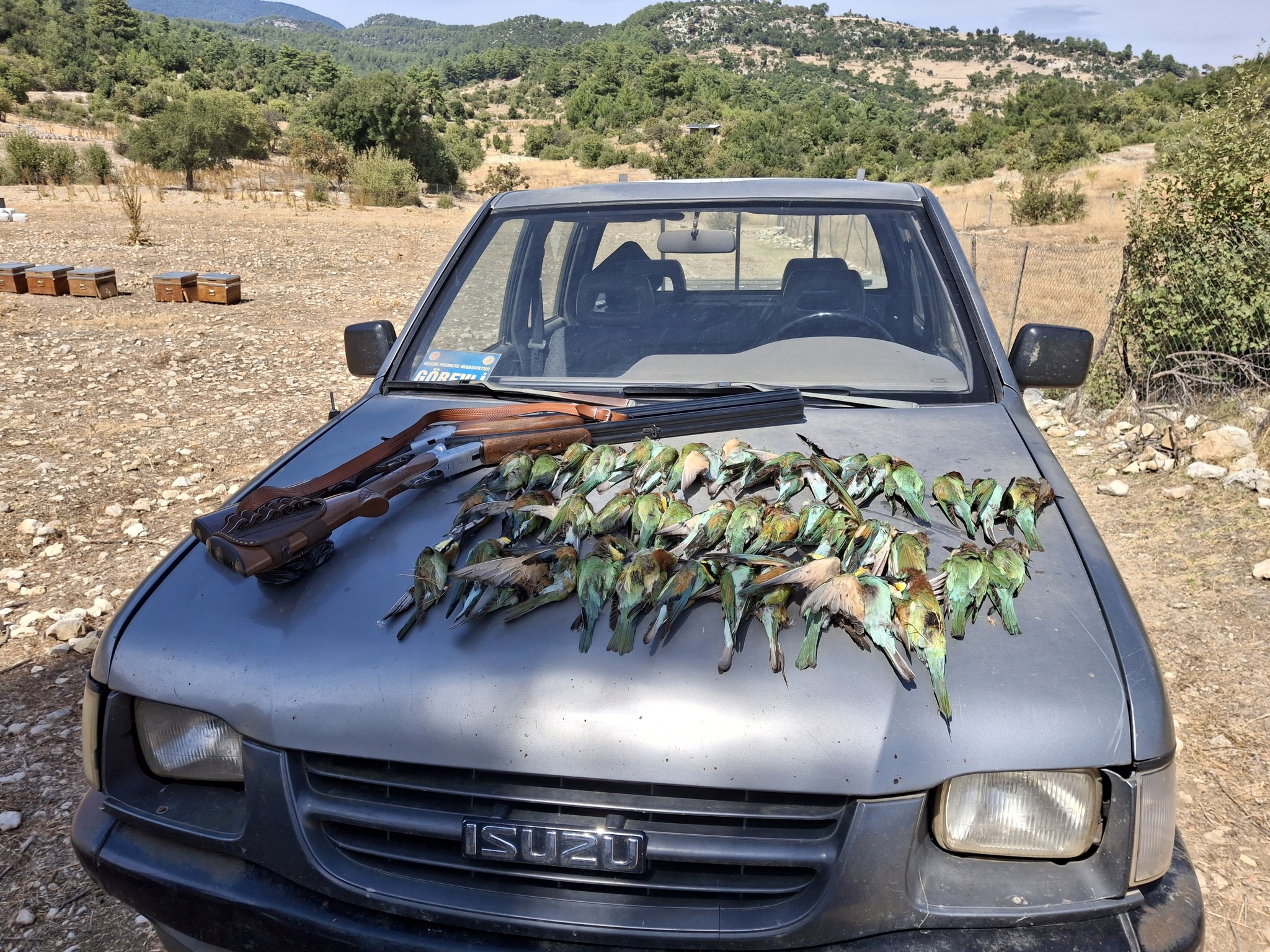 Koruma altındaki 45 kuşu katlettiler!