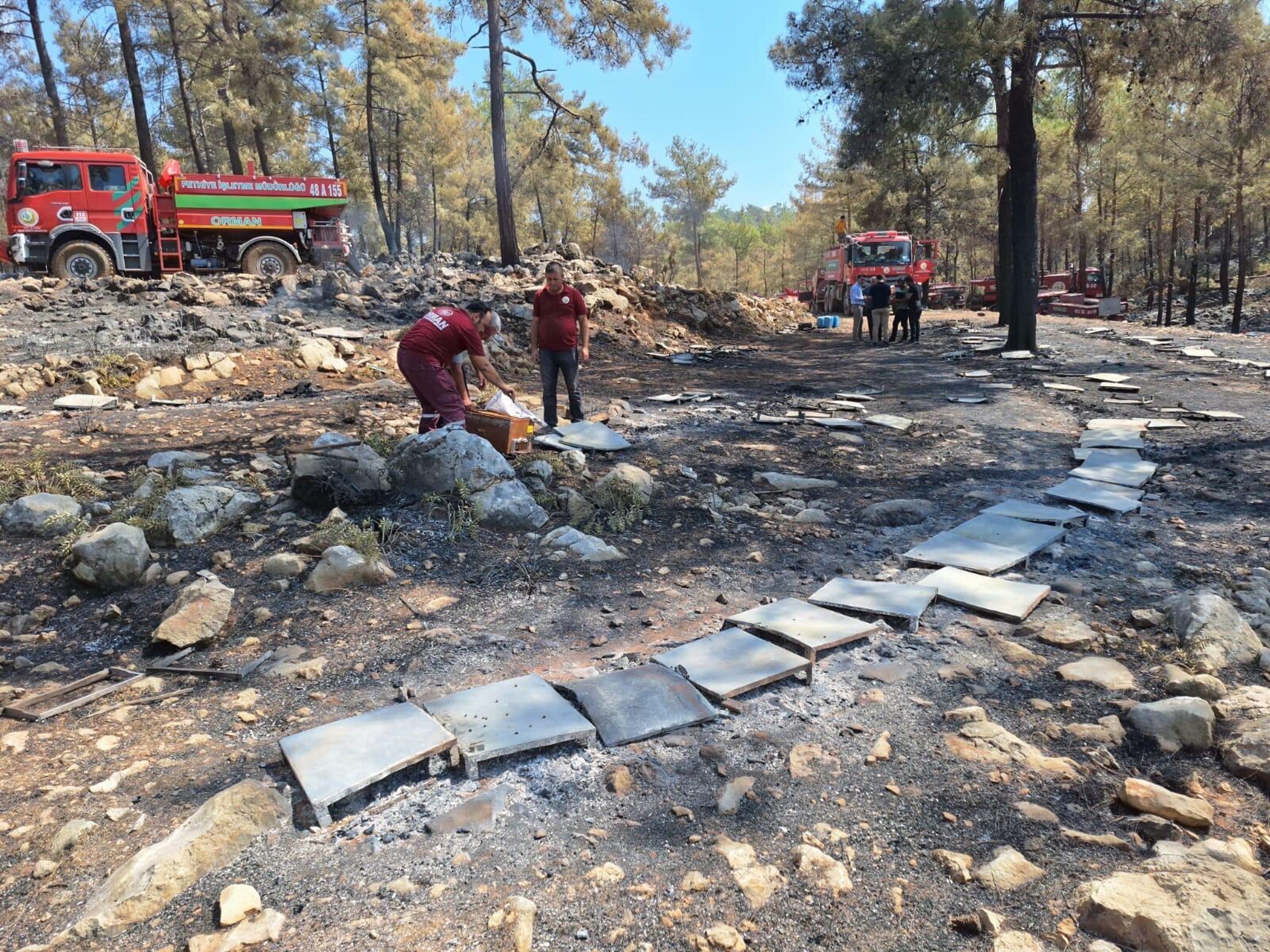 Muğla'da orman yangını sonrası üreticiye destek