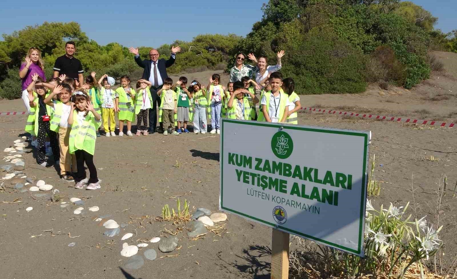 Sahiller kum zambaklarıyla doldu, çocuklar koruma altına aldı