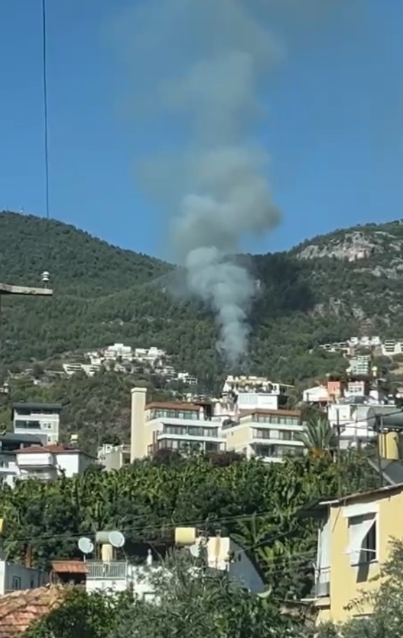 Alanya'da orman yangını