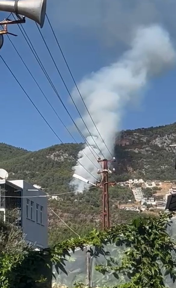 Alanya'da orman yangını