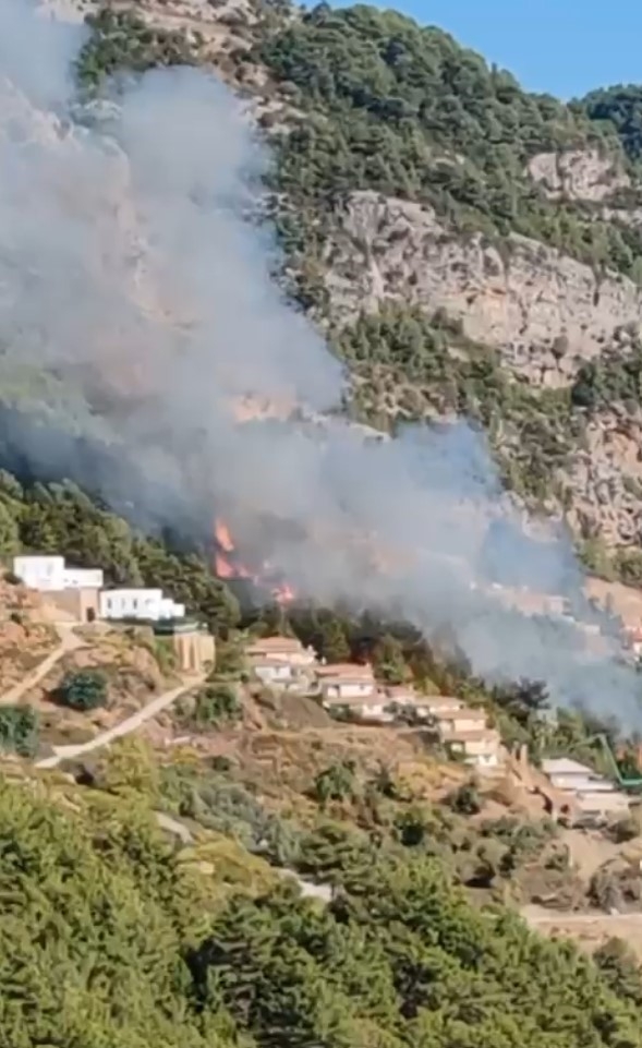 Alanya'da orman yangını
