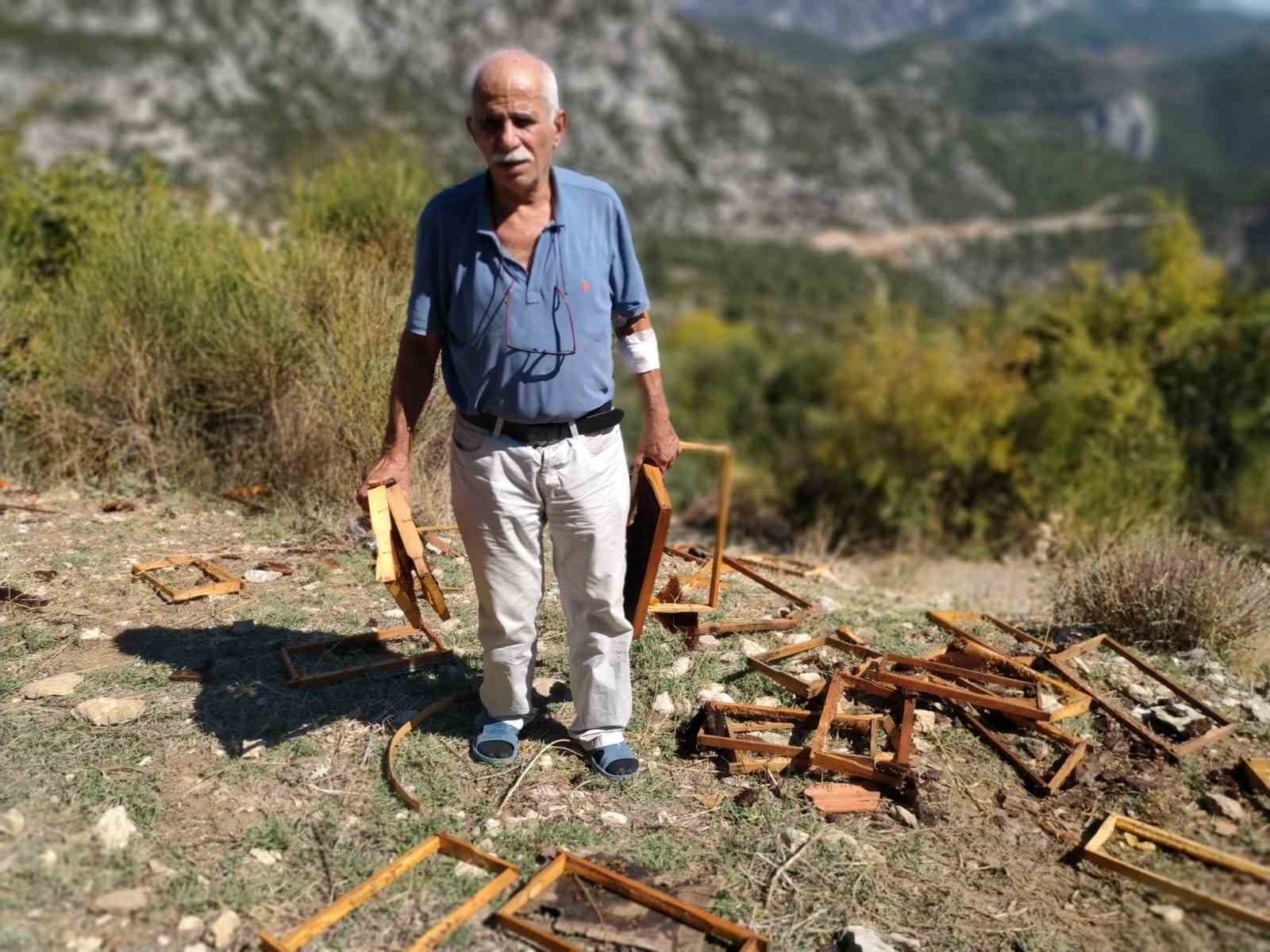 Antalya'da aç kalan ayılar kovanları parçaladı