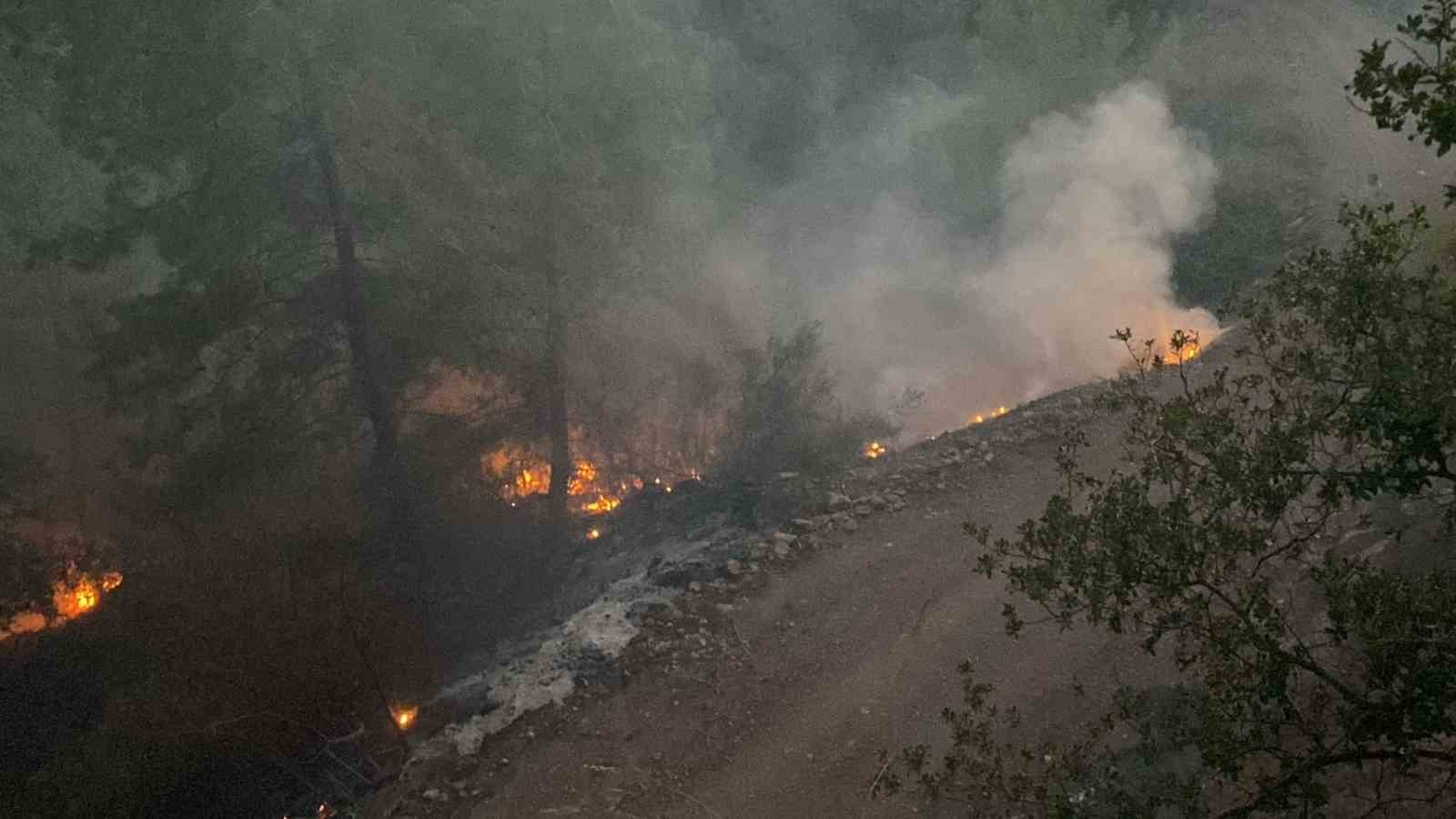 Burdur'da çıkan orman yangını kontrol altına alındı
