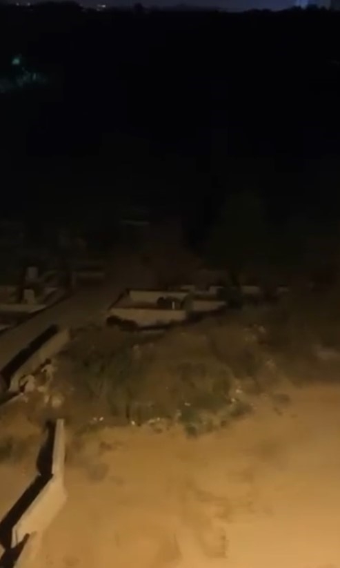 Domuzlar sürü halinde mahalleye indi