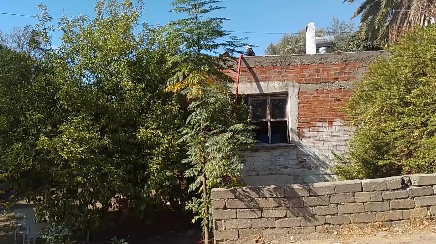 Kümeste bulunan güvercinler yanmaktan son anda kurtuldu