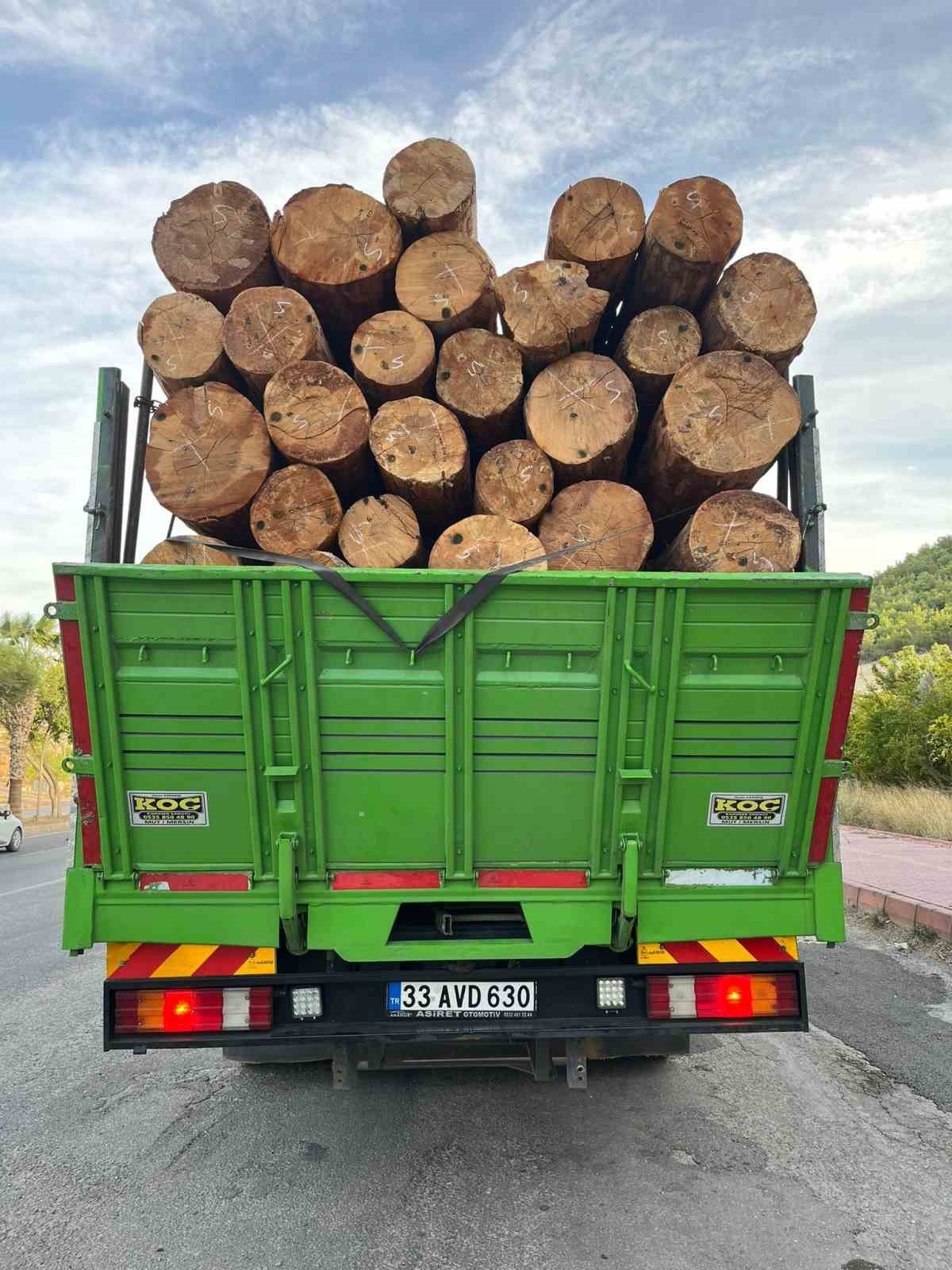 Mersin'de orman suçlarına karşı denetimler sürüyor
