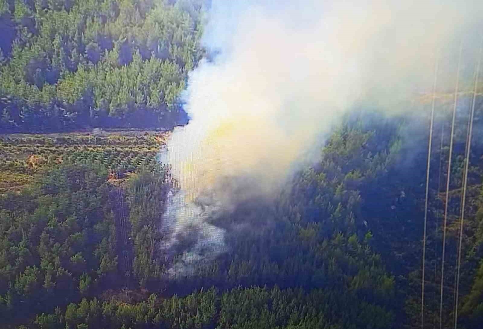 Mersin'de orman yangını havadan ve karadan müdahaleyle söndürüldü