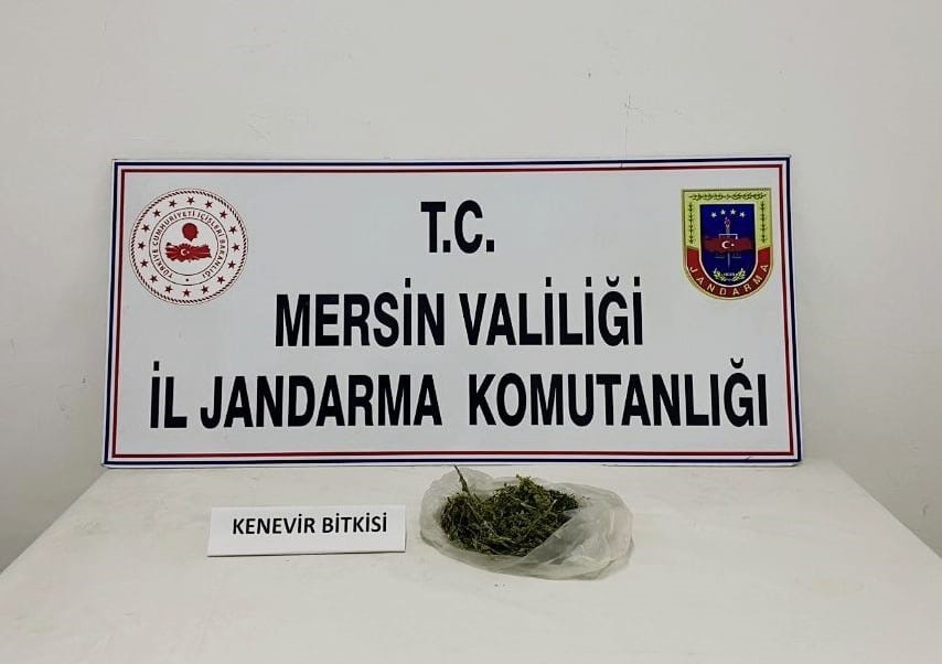 Mersin'de uyuşturucu serası kuran şüpheli yakalandı