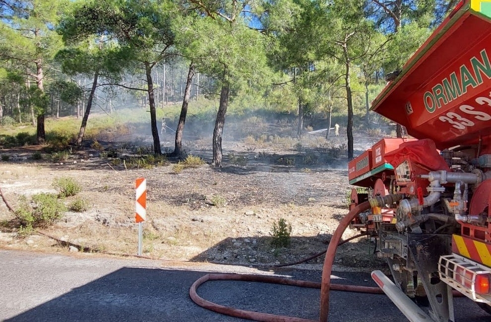 Mersin'de vadide çıkan orman yangını, büyümeden söndürüldü