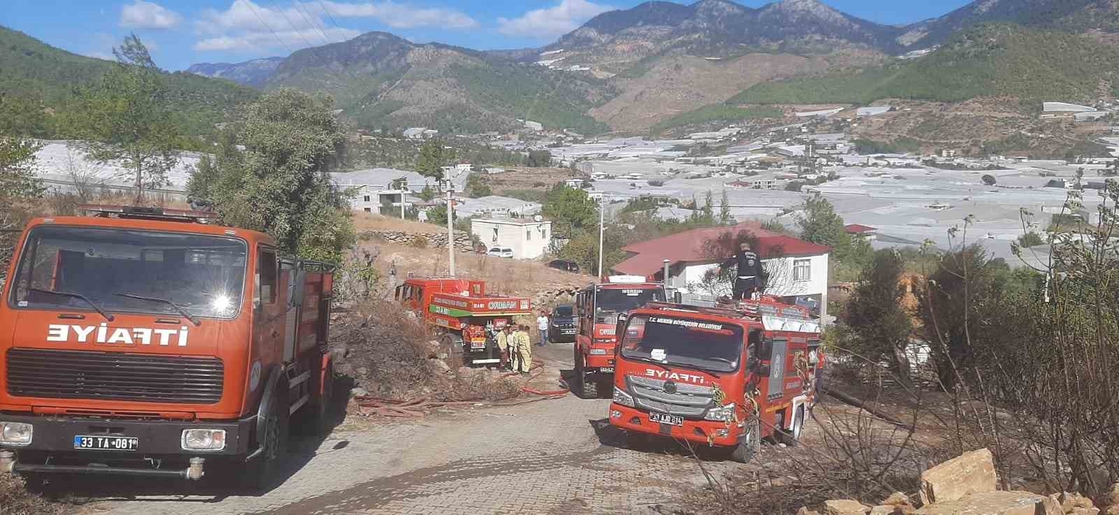 Mersin'de zeytinlik alanda yangın