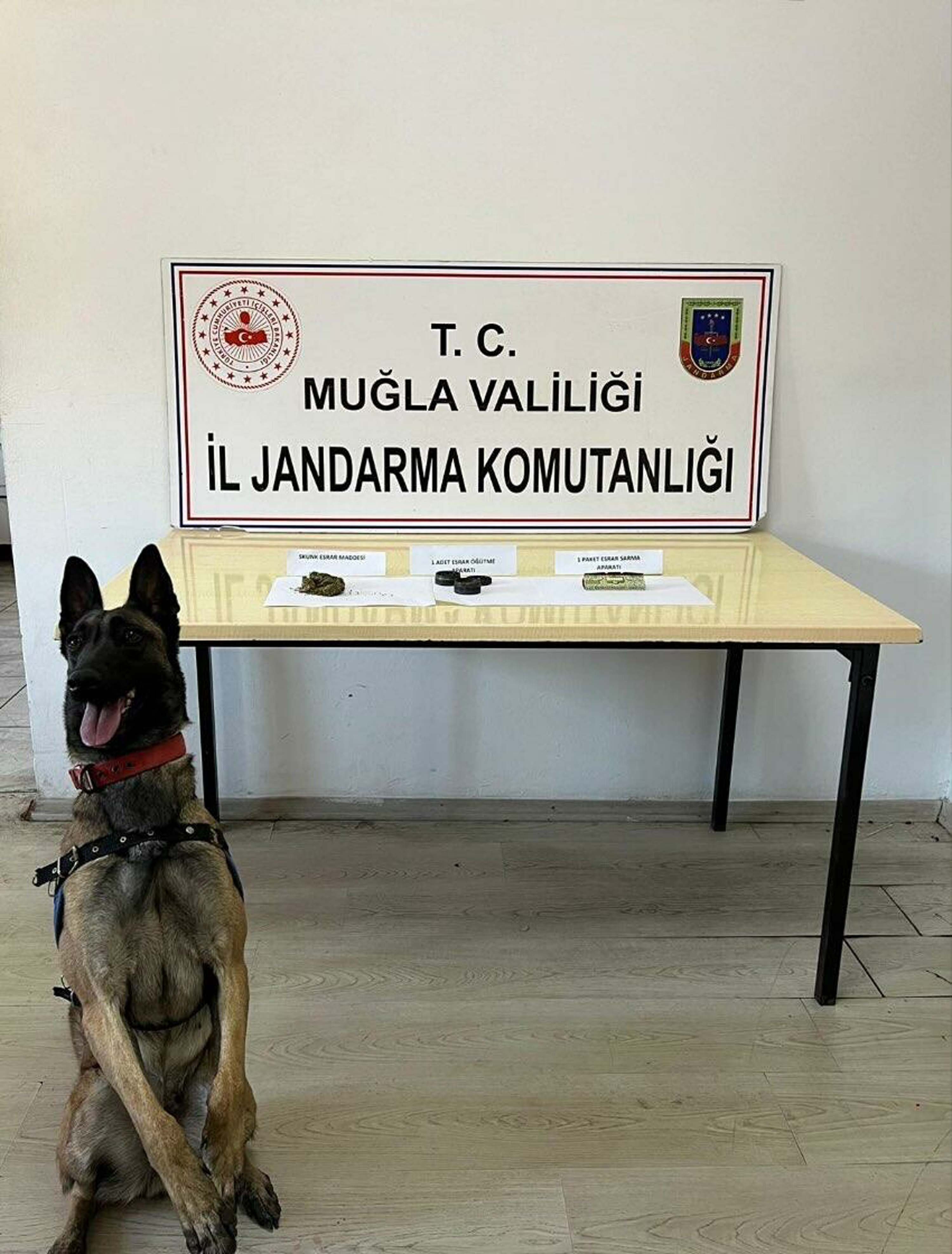 Muğla'da uyuşturucu operasyonlarında 6 gözaltı