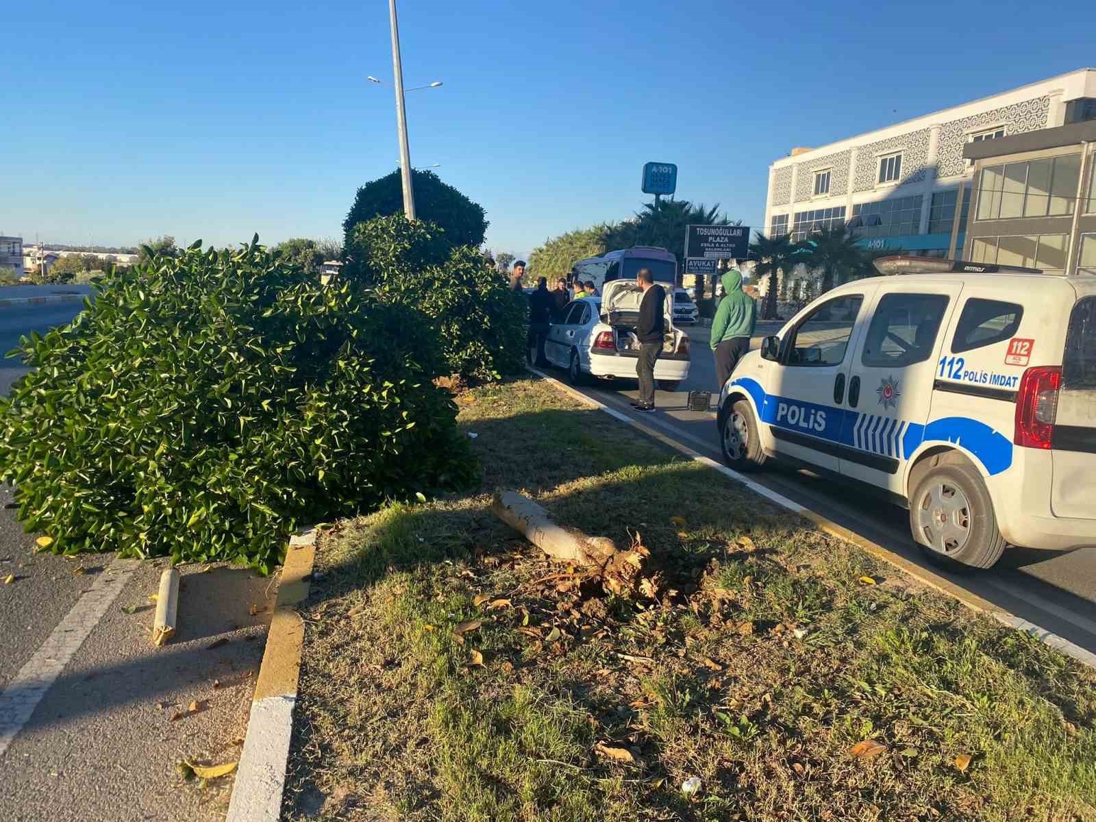 Refüje çıkıp ağaçları deviren otomobil sürücüsünü aydınlatma direği durdurdu