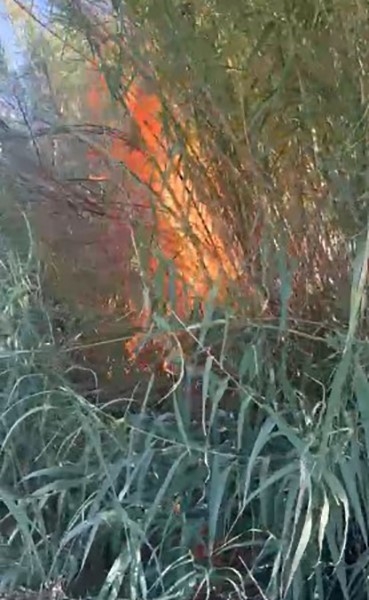 Serik'te kargılık alanda yangın: 2 dönüm alan zarar gördü