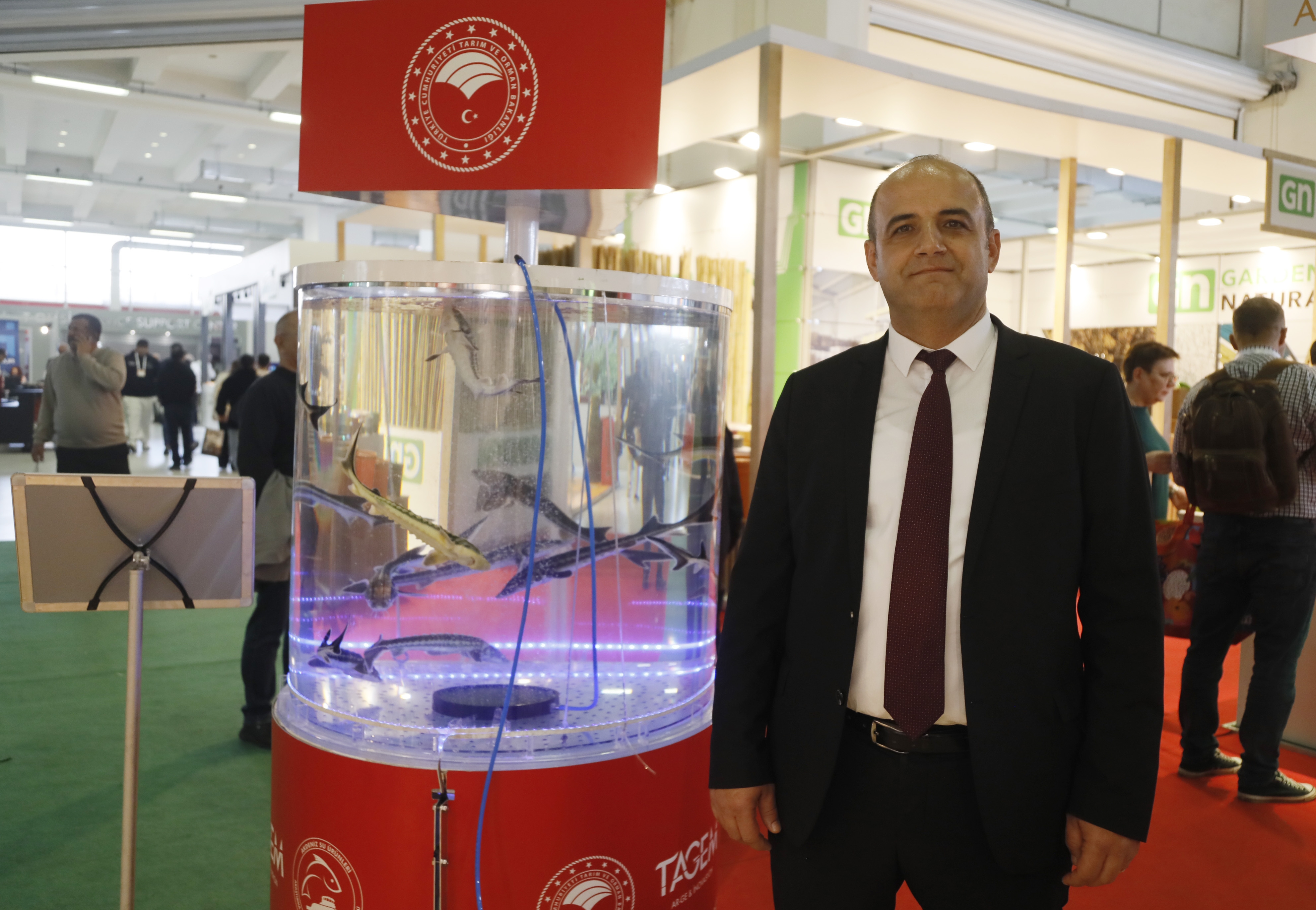 Akdeniz'de yetiştirilip, Karadeniz'e bırakılan 20 bin mersin balığı çiple izleniyor