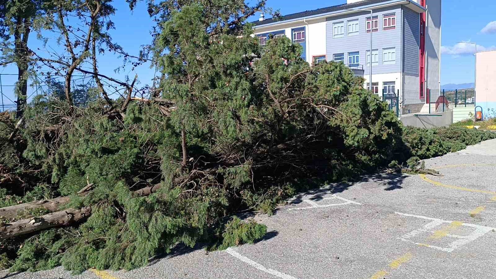 Manavgat'da şiddetli fırtına ve rüzgar ağaçları yıktı