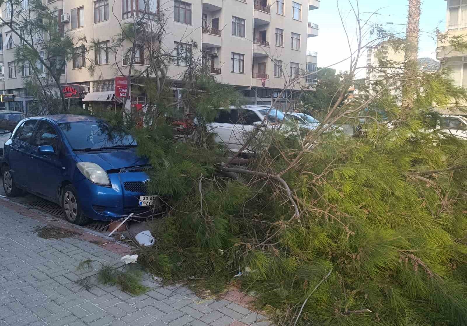 Mersin'de fırtına ağaçlar devrildi, araçlar zarar gördü camlar kırıldı