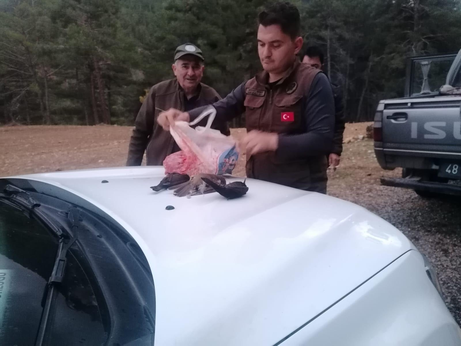 Muğla'da kaçak avcılara para cezası