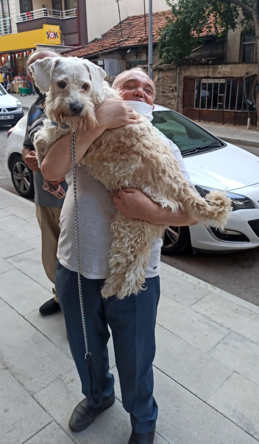 Ölen köpeği için arsa satın alıp, mezar yaptırdı