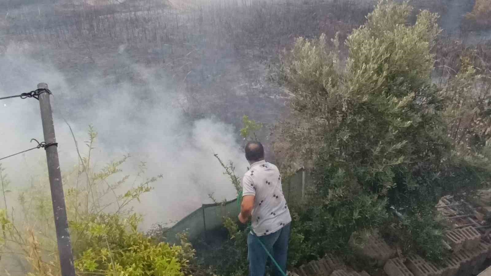 Sazlık alandaki yangına hortum ve bidonlarla müdahale ettiler